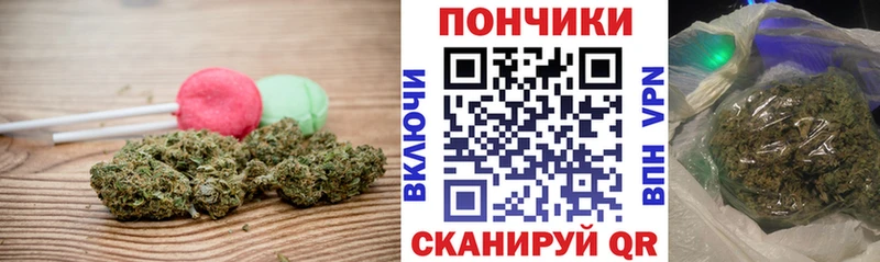 Cannafood марихуана  Грайворон 